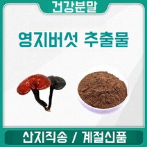 영진 영지 버섯 추출물 백두산 영지 분말 가루, 30:1, 1봉, 200g
