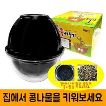 콩나물키트/가정용콩나물/콩나물키우기키트/관찰학습, 없음, 콩나물키트-콩 포함(국산)