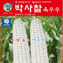 [가람종묘사] 박사찰옥수수 씨앗(통이 크고 맛있는 옥수수 품종)