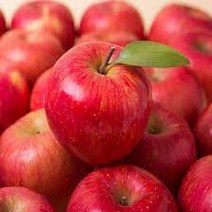 강원도 인제 대암산사과 꿀부사사과 5kg 15-17과 고랭지사과, 상세페이지 참조