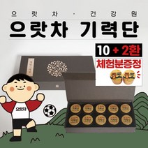 피로회복 만성피로 영양제 보약 수능영양제 수험생 생신선물 공진단상자 기력보충 효도선물 공진단상자 기력 체험분 으랏차건강원 으랏차기력단, 메시지 인쇄 (주문요청사항에 기재)