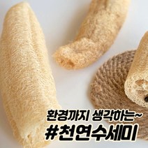 천연 수세미 미세플라스틱 없는 진짜 오이수세미 1+1, 환경을 생각하는 수세미_기본형 1+1