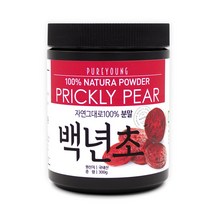 퓨어영 국산 백년초가루 300g 백년초 손바닥 선인장, 1통