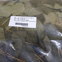 삼지구엽초 100mlX50포, 50포 100mlX50포