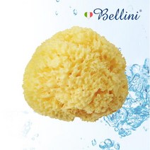 벨리니 [Bellini Natural Seasponge] 천연해면 허니컴 SA 18, 단품없음