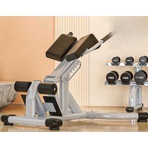 피트니스 백익스텐션 운동기구 복근 허리 훈련 웨이트, 로마 의자 (레드 쿠션)