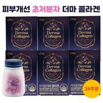 초저분자 라이필 더마콜라겐 173달톤 저분자 어린콜라겐, 6개, 800mg/84