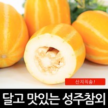 진짜 성주 꿀 참외 못난이 3kg 5kg 19900원 포장재무게포함, 진짜성주꿀참외못난이 포장제무게포함, 3kg랜덤과