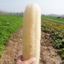 친환경 천연 농가 수세미 락백결포 수세미 수세미 주머니 행주 기름 묻히지 않고 말린 수세미 속 제로웨이스트, 통 50-55cm 3개