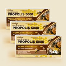 네이쳐스그린웨이 호주 프리미엄 고함량 프로폴리스 5000mg 120캡슐 4개월분 플라보노이드 사은품, 3개