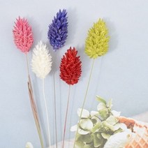 캔들이케아 파라리스 드라이플라워(5개입), 라임