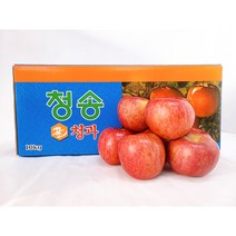 청송사과 꿀사과 고당도 맛있는사과, 고당도사과(중)10kg