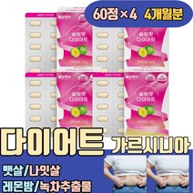 뱃살 나잇살 체지방 빼기 다이어트 레몬밤 녹차추출물 가르시니아 곡물효소 차전자피 필수아미노산 젤리 붙히는 운동안하고 프로그램 권나라 저녁대신마시는 브랜드 보조제 컷팅제 발포 식단