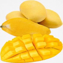 골드망고 5과 신선농장