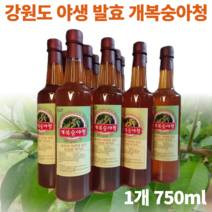 강원도 홍천 새콤달콤 야생 토종 개복숭아 액기스 돌복숭아 복숭아 엑기스 청 복숭아즙 발효액 숙성액 진액 절임 효소 액상 즙 건강즙 추천 국산 750ml 1개 2개, 개복숭아 액기스 750ml 2개