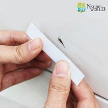 네이처월드 다이아코트 스크래치밴드 자동차 흠집 제거 기스 스크래치 도색 스티커 카페인트 흠집가리개 보수 필름