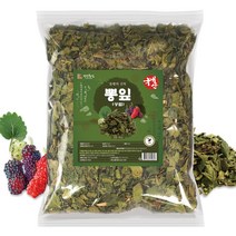 말린 뽕잎 400g 상엽 국산, 1개입