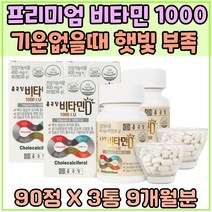 식약처 인증 기운없을때 프리미엄 비타민D 1000 피로 관리 피곤할때 과일 베리 분말 뼈건강 추천 Vitamin 디 보충제 육체피로 에너지 업 생성 활력 충전