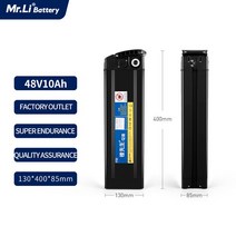 전문 리튬 배터리 전자 자전거 모터 접이식 전기 자전거 전기 자전거, 단일 배터리 10ah