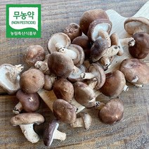 금성농장 무농약인증 생 표고버섯, 실속형 1kg