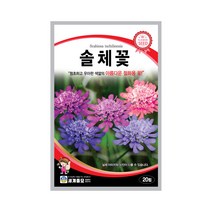 모칸도 (무배)세계 솔체꽃 꽃씨 20립