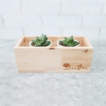 원목 미니 우드 정리함 1칸 다용도 소품 정리 레터링 문구 이니셜 각인 수납함 삼나무, 1개