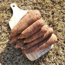 [자연맛남] 맛좋은 제주 흙당근 5kg (왕특), 단품