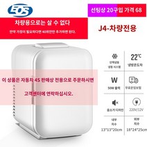 사무실 1인가구 신혼 미니 원룸 무소음 기숙사 냉장고, J4 차량용-【4L】가정용 불가