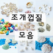 조개껍질 소라껍질 모음 젤캔들 만들기 재료, 5. 줄무늬 블랙