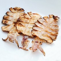 반건조 한치 마른 한치, 10마리