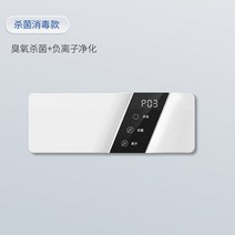 오존 발생기 살균기 가정용 정화 O3 휴대용 이오나이저 음이온, 살균소독대