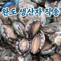 완도 전복 활전복 설 선물 세트 꼬마전복 명절선물 전복직거래 6미 7미 8미~50미 1kg, 1kg 51-60미