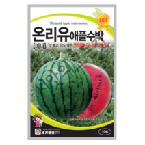 온리유 애플수박 씨앗 10립 맛과 당도가 좋은 원형의 미니애플 수박종자 세계종묘