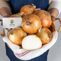 산지직송 무안양파 3kg / 5kg / 10kg, 요리용 대 10kg