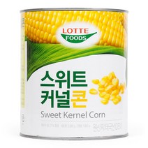 롯데 스위트커널콘 2.95kg
