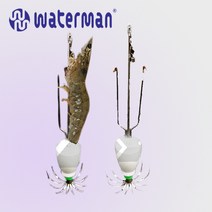 워터맨 슈어캐치 쭈쓰리 생미끼 장착 쭈꾸미 애자, ZSR018(18호_67g), PRL