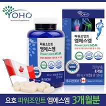 요호 파워조인트 엠에스엠 180캡슐 3개월 관절및연골건강에도움 MSM 글루코사민 상어연골분말 초록잎홍합분말 노인 노년 중장년 60대 70대