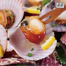 통영 가리비 알이 통통 제철 국내산 비단 홍가리비 1kg 산지직송