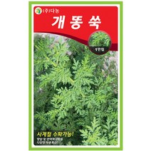 더덕 3g - 씨 씨앗 더덕씨앗 더덕씨 나물씨 나물씨앗 민속채소 채소씨 채소씨앗 민속씨앗, 14_다농_개똥쑥(1만립)