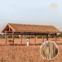 초가집 지붕 인조 볏짚 농막 초가지붕 볏집 오두막 이엉, 미터당초가혼합색상폭0.5m길이1m, 1개