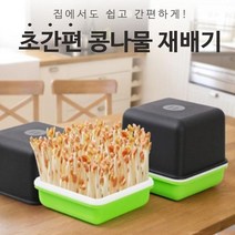 송이마켓 콩나물재배기 숙주나물 시루