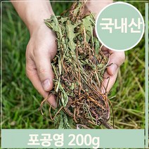 푸들 말린 민들레 200g 포공영 약재 건조 나물 된장국 요리 (7563996), 기본