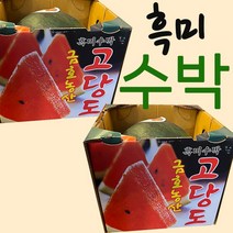 프리미엄 [당도선별] 고당도 흑미수박 흑수박 5kg 과일선물, 2개