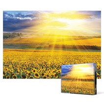 직소퍼즐 / 해바라기 들판의 일몰 (미니), 2000피스, 혼합색상