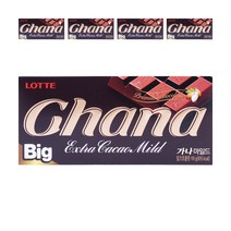 롯데 빅가나마일드 초콜릿 110g x 5개