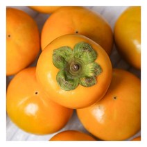 [농부마음] 구례 김상수 농부의 부유 단감 5kg (30과내) - 중과, 상세 설명 참조