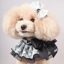 팝앤퍼피 엘리아레이스케이프, L, 블랙