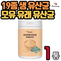프리미엄 19종 모유 유래 유산균 230g 프로바이오틱스 프락토올리고당 분말 파우더 LGG 락토바실러스 람노서스 람노스 4세대유산균 남자 여자 유아 키즈 아이 어린이 영양제 선물