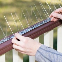 비둘기 퇴치망 가드 버드 스파이크 조류 퇴치기 새