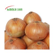 [농협청과] 양파 10kg - 소, 상세 설명 참조